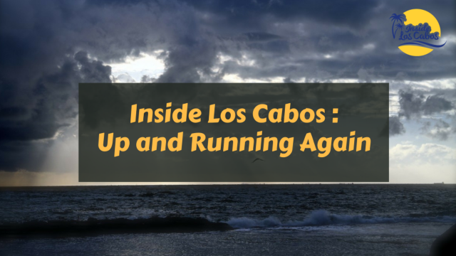 Inside Los Cabos is Up and Running Again, Ready for All Your Transportation Needs!